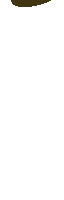 Gif animé argent